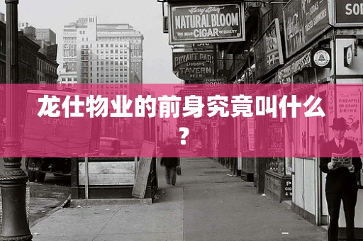 龙仕物业的前身究竟叫什么？