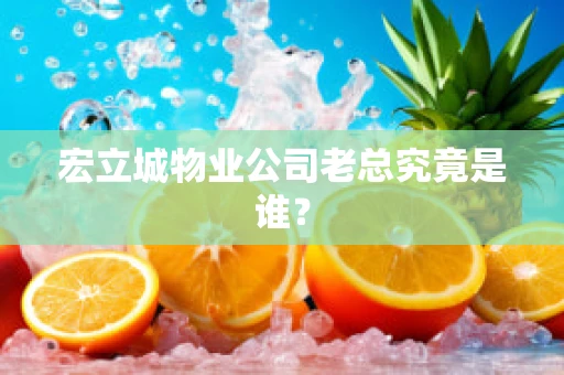 宏立城物业公司老总究竟是谁？