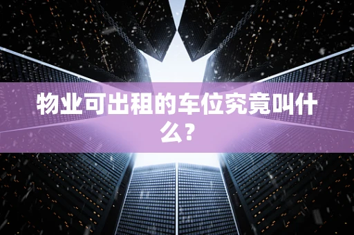 物业可出租的车位究竟叫什么？