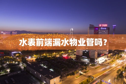 水表前端漏水物业管吗？