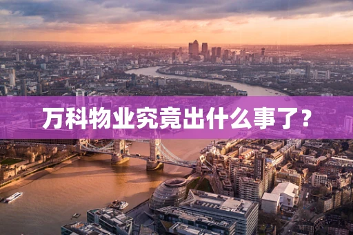 万科物业究竟出什么事了？