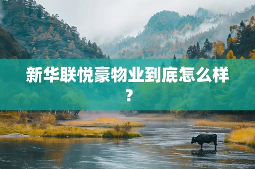 新华联悦豪物业到底怎么样？