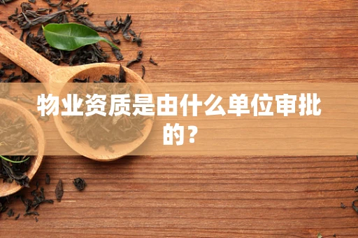 物业资质是由什么单位审批的？