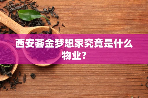 西安荟金梦想家究竟是什么物业？