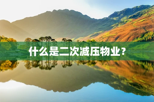 什么是二次减压物业？