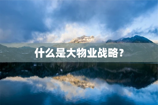 什么是大物业战略？