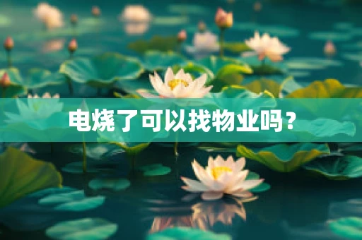 电烧了可以找物业吗？
