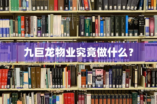 九巨龙物业究竟做什么？