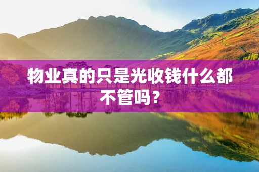 物业真的只是光收钱什么都不管吗？
