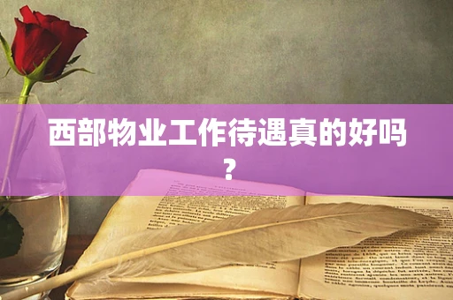 西部物业工作待遇真的好吗？