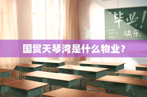 国贸天琴湾是什么物业？