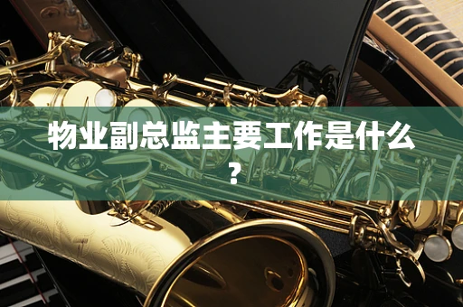 物业副总监主要工作是什么？