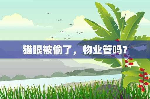 猫眼被偷了，物业管吗？