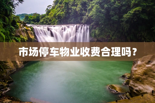 市场停车物业收费合理吗？