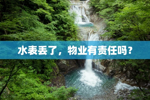 水表丢了，物业有责任吗？
