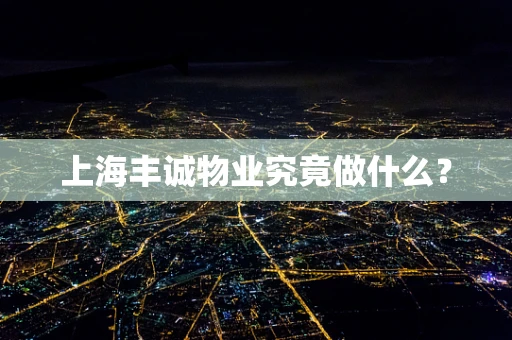 上海丰诚物业究竟做什么？