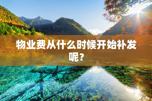 物业费从什么时候开始补发呢？
