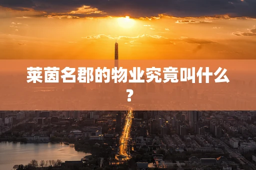 莱茵名郡的物业究竟叫什么？