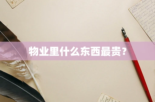 物业里什么东西最贵？
