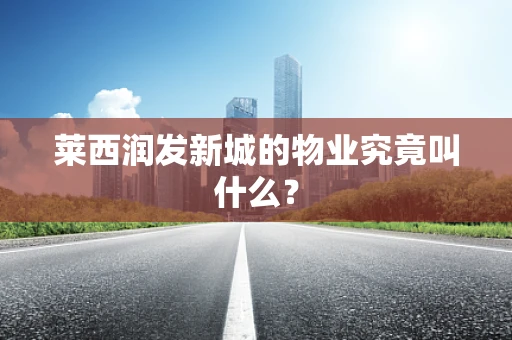 莱西润发新城的物业究竟叫什么？