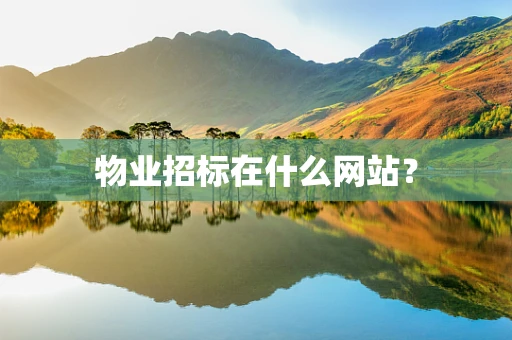 物业招标在什么网站？