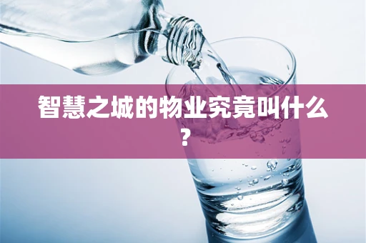 智慧之城的物业究竟叫什么？