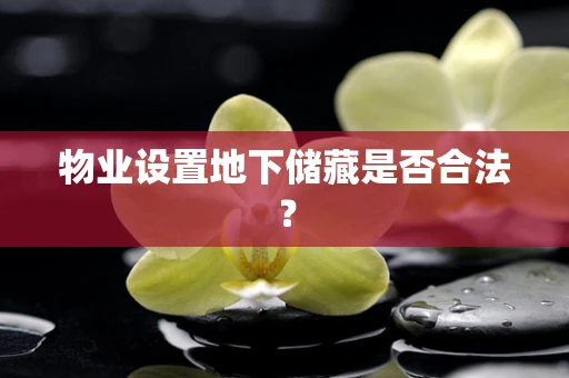 物业设置地下储藏是否合法？
