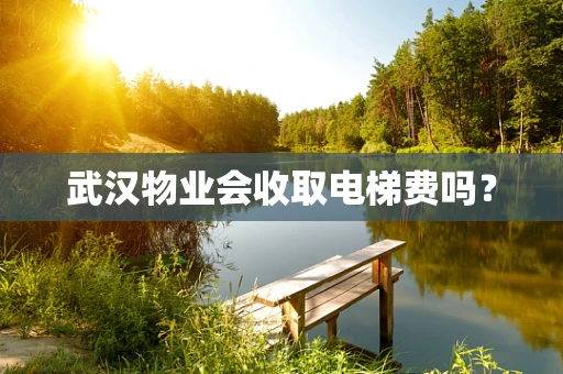 武汉物业会收取电梯费吗？
