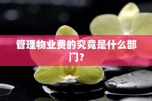 管理物业费的究竟是什么部门？