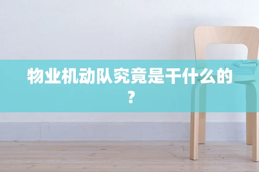 物业机动队究竟是干什么的？