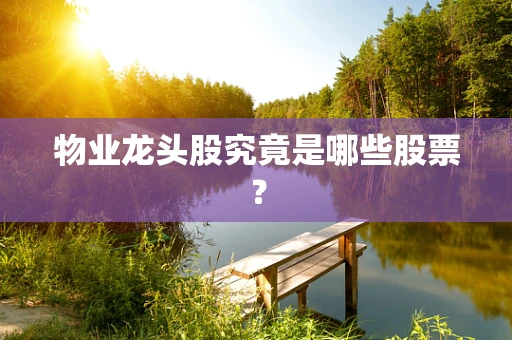 物业龙头股究竟是哪些股票？