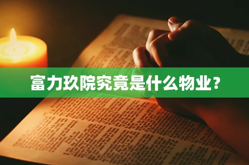 富力玖院究竟是什么物业？