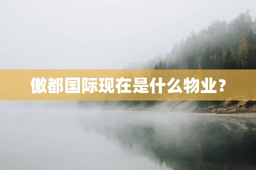 傲都国际现在是什么物业？