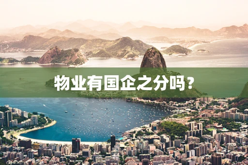 物业有国企之分吗？