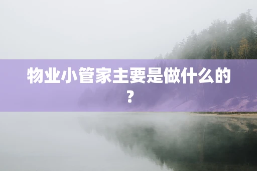 物业小管家主要是做什么的？