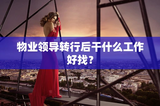 物业领导转行后干什么工作好找？