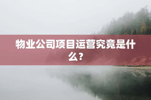物业公司项目运营究竟是什么？