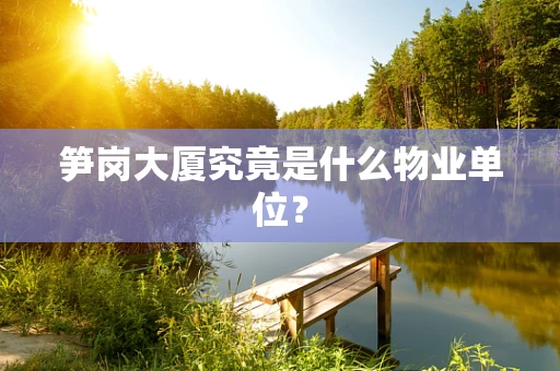 笋岗大厦究竟是什么物业单位？