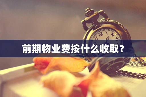前期物业费按什么收取？