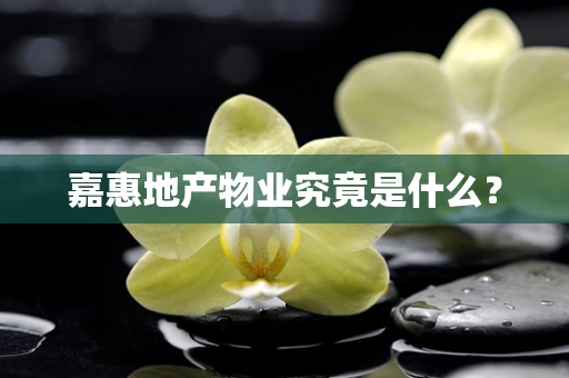 嘉惠地产物业究竟是什么？