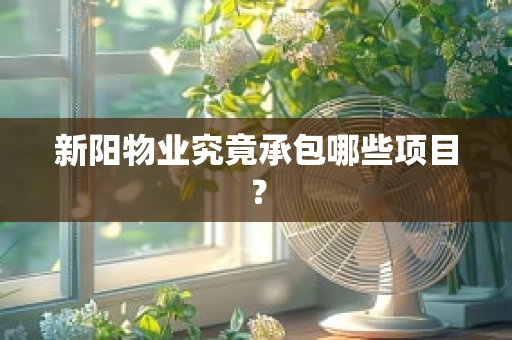 新阳物业究竟承包哪些项目？