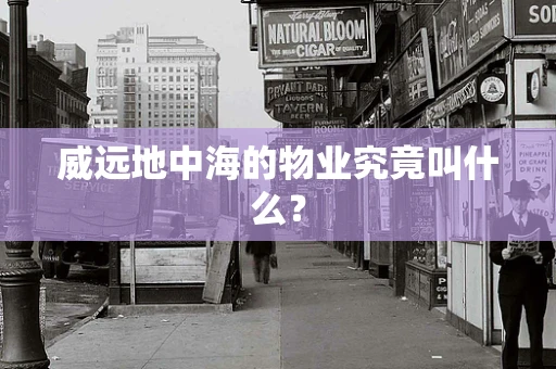 威远地中海的物业究竟叫什么？