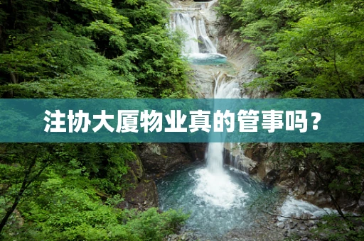 注协大厦物业真的管事吗？