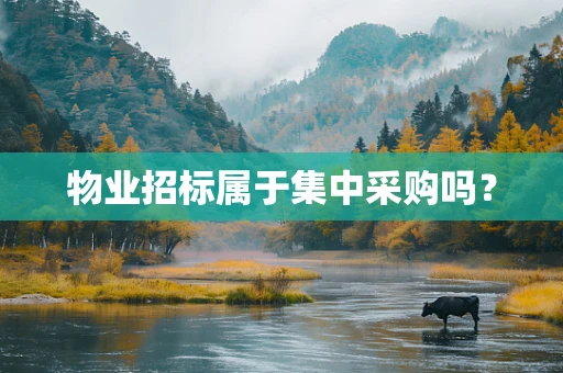 物业招标属于集中采购吗？