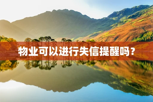 物业可以进行失信提醒吗？