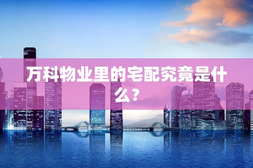 万科物业里的宅配究竟是什么？