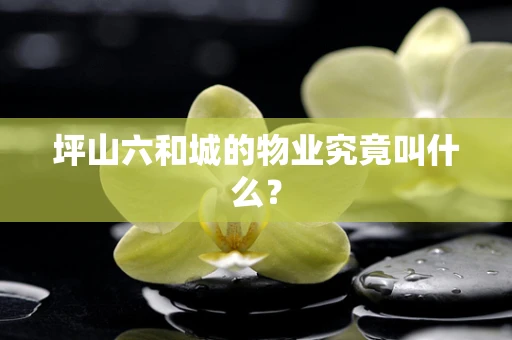 坪山六和城的物业究竟叫什么？