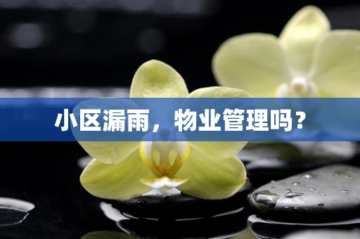 小区漏雨，物业管理吗？