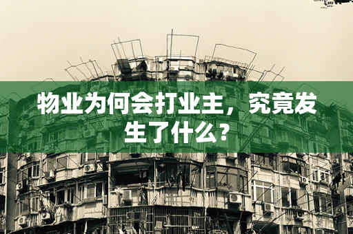 物业为何会打业主，究竟发生了什么？