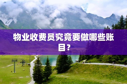 物业收费员究竟要做哪些账目？